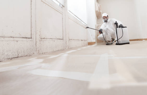 24/7 Emergency Crawl Space Mold Remediation experts in Quantico, VA