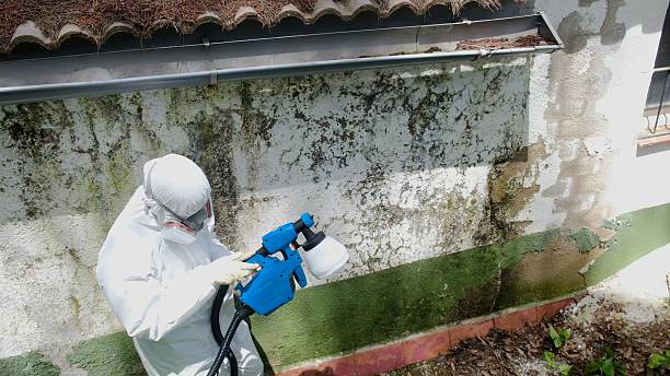 Top rated local Crawl Space Mold Remediation specialists in Quantico, VA